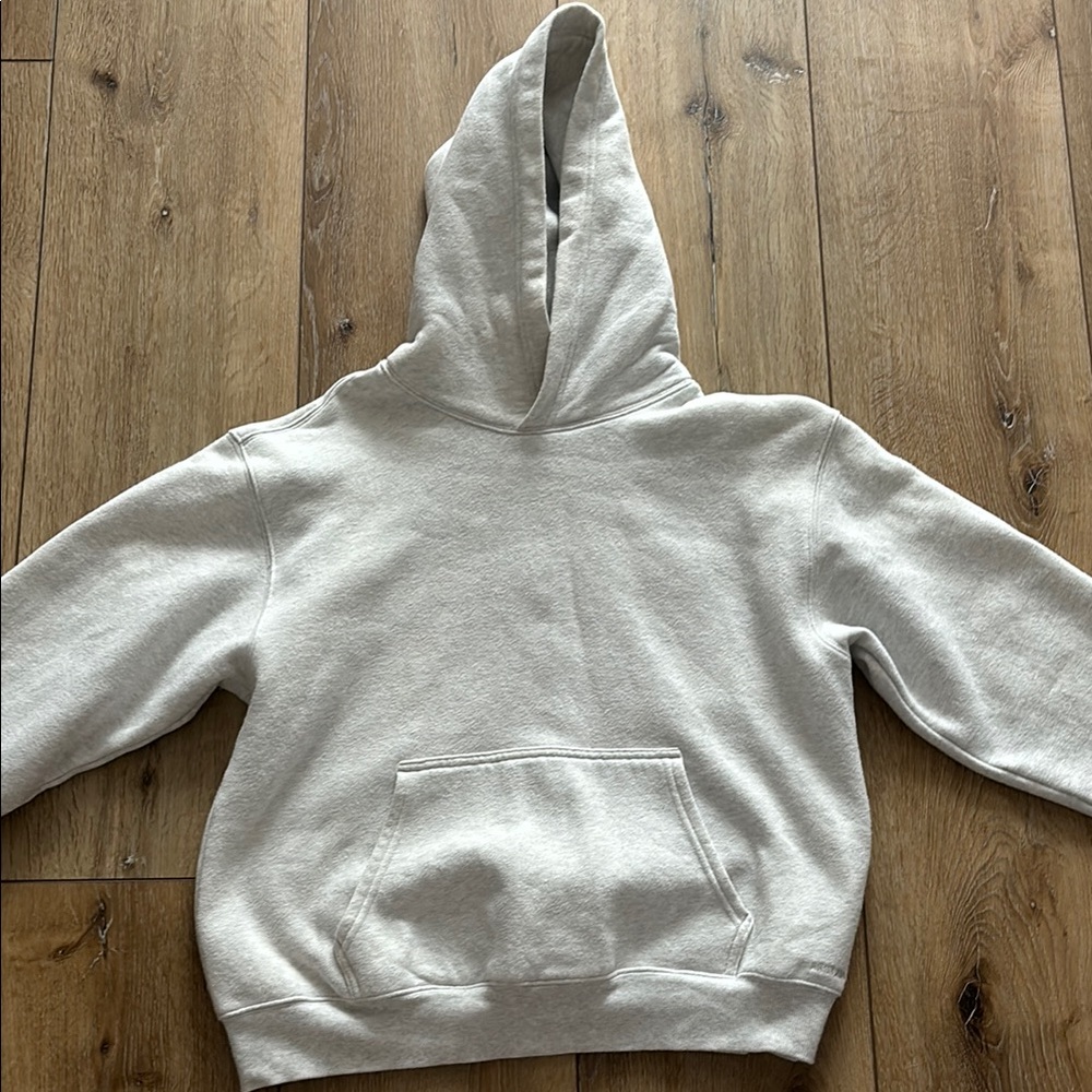Aritzia Gray Hoodie